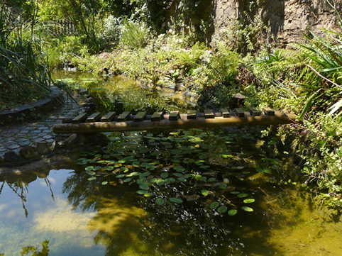 Il Laghetto del Centro di Entomologia - Piombino (LI)